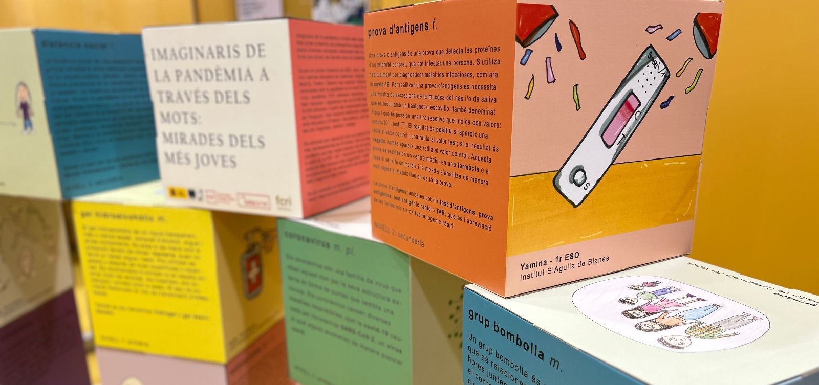 Imatge inicial -