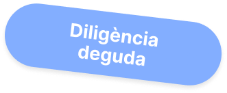 Diligència deguda