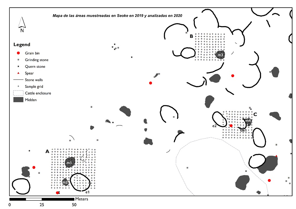  Mapa de las áreas muestreadas en el grupo más septentrional de Seoke que muestra el detalle de las evidencias reconocidas durante el trabajo de campo. Las evidencias son numeradas de forma progresiva: recinto 1 (e1), basurAL 1 (m1) y basural 2 (m2) en EL área A; basural 3 (m3) y recinto 2 (e2) en área B; muro de piedra 1 (sw1) y basural 4 (m4) en el área C.