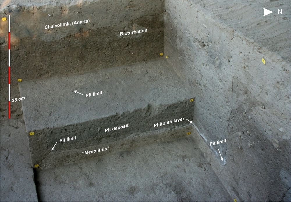 Excavación del sitio arqueológico de Loteshwar con los depósitos de las diferentes ocupaciones prehistóricas. 