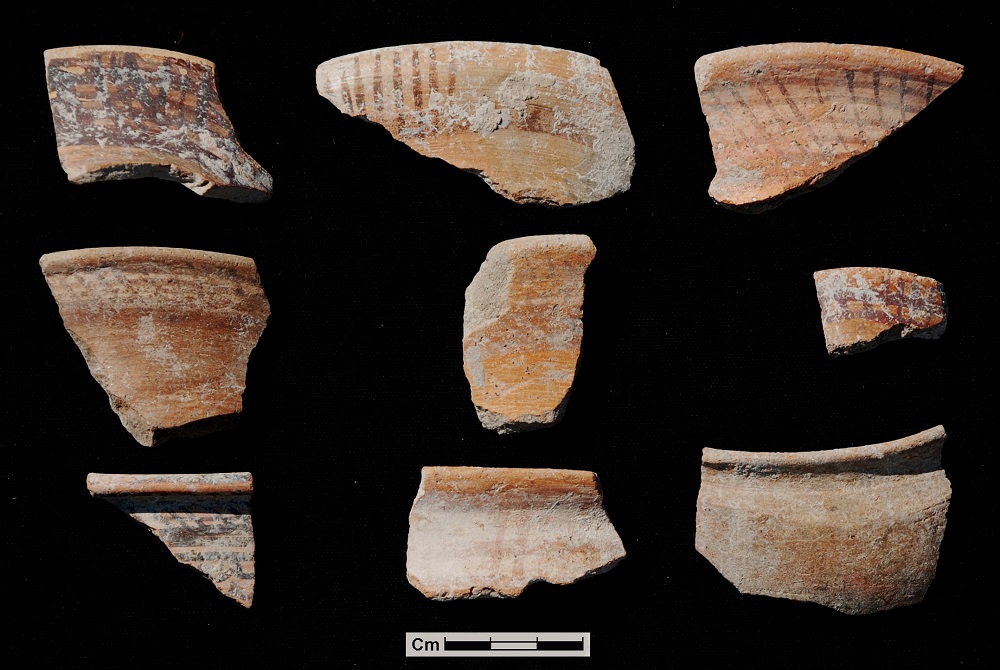 Ejemplo de la cerámica que se ha estudiado a través del análisis de residuos de lípidos y de micro-restos botánicos (fitolitos y almidones) 