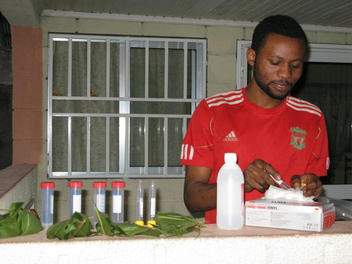 Anthony Agbor, coautor de l'estudi i gestor de camp a diverses ubicacions de PanAf, preparant mostres per al seu processament al camp. Crèdit: PanAf