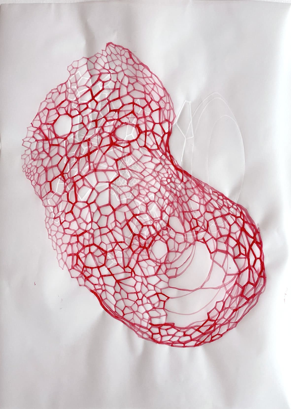 Micro-bios II, V, Jo Milne. Tècnica mixta sobre papel vegetal, 59 x 42 cm
